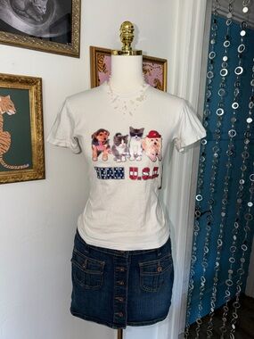 Vintage Y2K Team U.S.A. Graphic Pet Tee - White